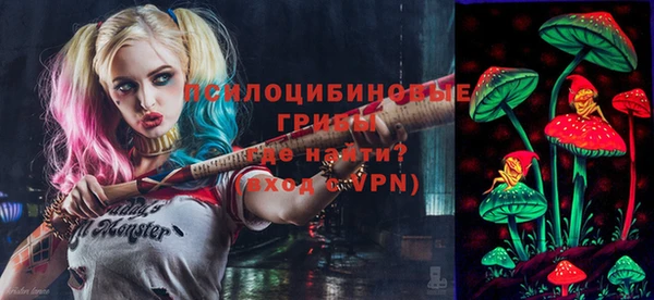 спайс Ладушкин