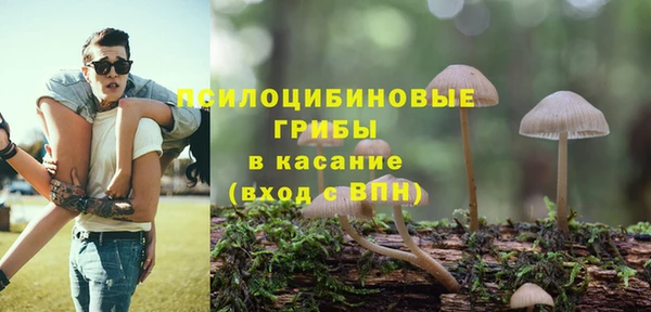 спайс Ладушкин