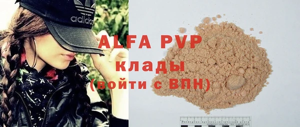 спайс Ладушкин