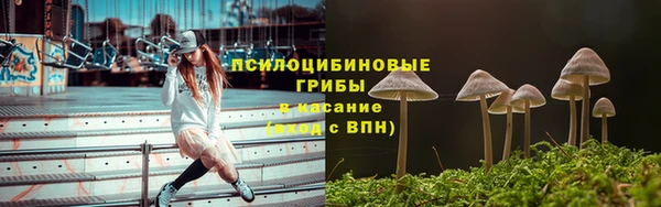 спайс Ладушкин